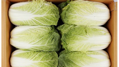 더싱싱쌈배추 득템 후기! 쌈밥의 계절이 돌아왔어요🥬