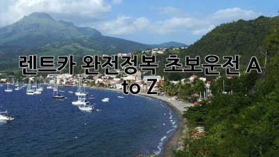 🚗 렌트카 완전정복: 초보운전 A to Z ✨