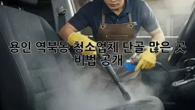 용인 역북동 청소업체 단골 많은 곳, 비법 공개! 🤫