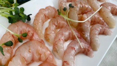놓치면 후회! 신나리수산 리얼 후기 & 꿀팁 대방출 🤩